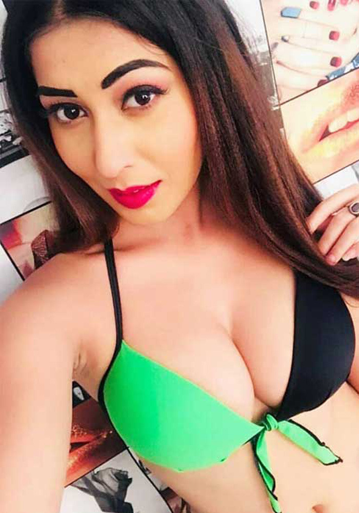 Agra Call Girl Service